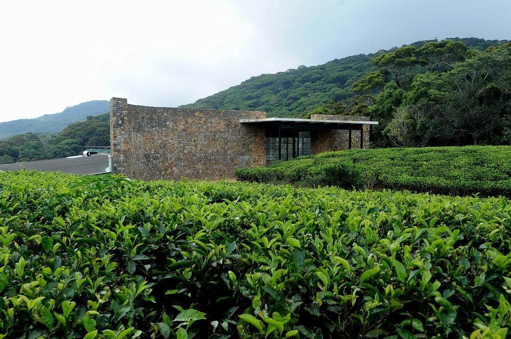 דניאיאה The Rainforest Ecolodge - Sinharaja With Shuttle Service From Car Park מראה חיצוני תמונה