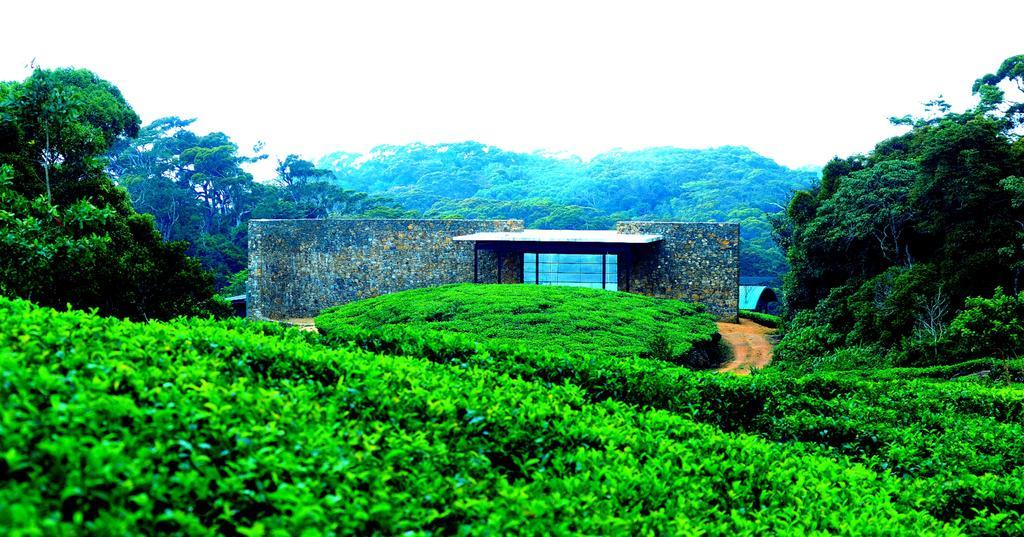 דניאיאה The Rainforest Ecolodge - Sinharaja With Shuttle Service From Car Park מראה חיצוני תמונה