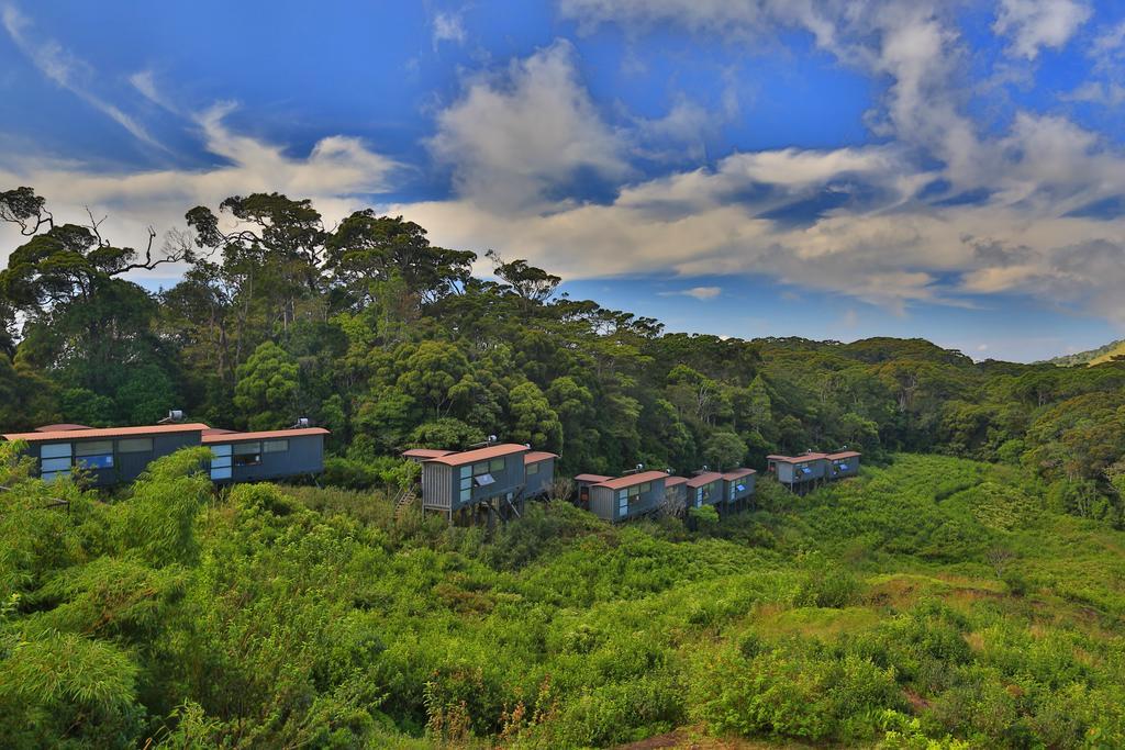 דניאיאה The Rainforest Ecolodge - Sinharaja With Shuttle Service From Car Park מראה חיצוני תמונה