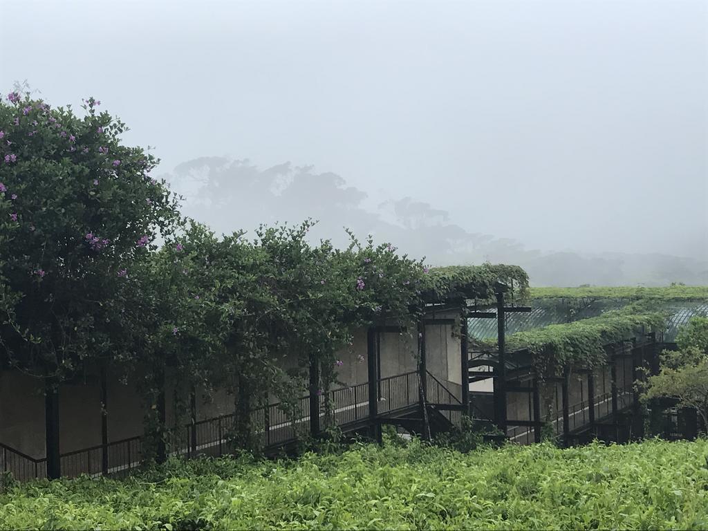 דניאיאה The Rainforest Ecolodge - Sinharaja With Shuttle Service From Car Park מראה חיצוני תמונה