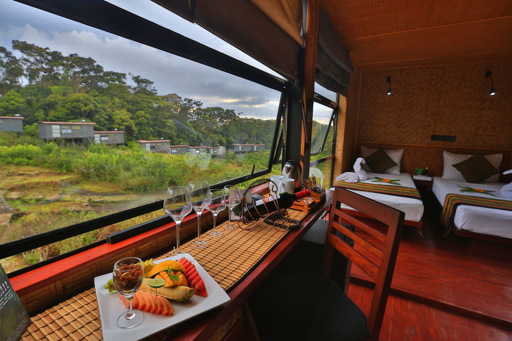 דניאיאה The Rainforest Ecolodge - Sinharaja With Shuttle Service From Car Park מראה חיצוני תמונה