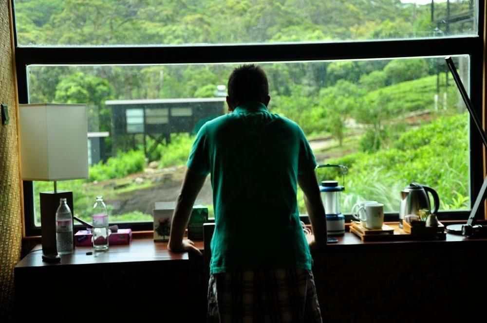 דניאיאה The Rainforest Ecolodge - Sinharaja With Shuttle Service From Car Park מראה חיצוני תמונה